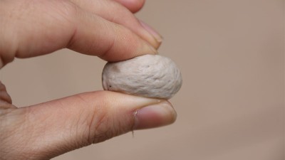 做肉丸用什么可以代替高彈素達到增彈增脆的效果？