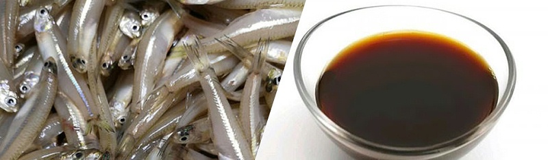 魚(yú)露