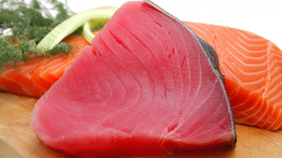 如何酶解金槍魚提高寵物貓糧誘食劑風(fēng)味性？