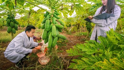 酶制劑公司排名：哪個廠家在食品、飼料、工業(yè)領(lǐng)域拔得頭籌