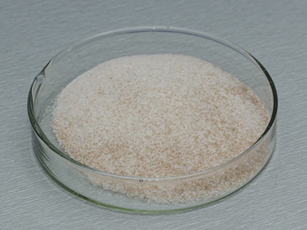 風(fēng)味酶（氨肽酶，復(fù)合風(fēng)味蛋白酶）Flavourzyme