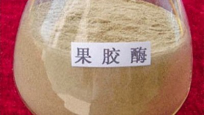 果膠酶的作用原理，正確使用方法與用量