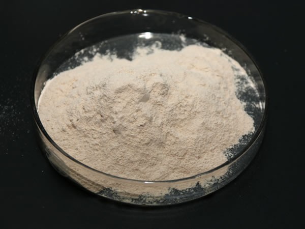 肉類蛋白水解酶（豬牛雞肉水解，肉膏咸味香精生產(chǎn)）