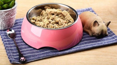 牛肉蛋白質(zhì)酶解制備寵物誘食劑，如何選酶？